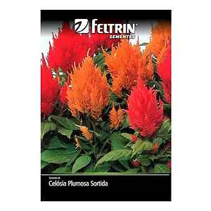 FELTRIN SEMENTE CELOSIA PLUMOSA SORTIDA 1PCT 400MG