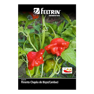 FELTRIN SEMENTE PIMENTA CHAPEU DE BISPO CAMBUCI 1PC 400MG