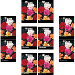 FELTRIN KIT 10 CARTELAS SEMENTES CRAVO CHABAUD 100MG CADA