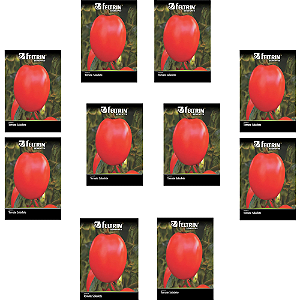 FELTRIN KIT 10 CARTELAS SEMENTES TOMATE SELADETE 1G CADA