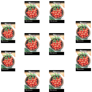 FELTRIN KIT 10 CARTELAS SEMENTES TOMATE CEREJA 1G CADA
