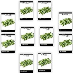 FELTRIN KIT 10 CARTELAS FEIJÃO MACARRÃO TREPADOR 10G CADA