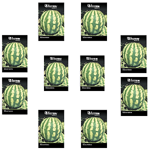 FELTRIN 10 CARTELAS MELANCIA REDONDA CRIMSON SWEET 1G CADA