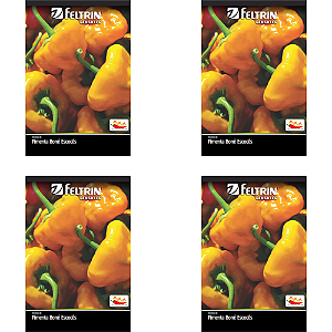 KIT 4 UN FELTRIN SEMENTE PIMENTA BONÉ ESCOCÊS 400MG