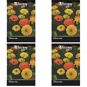 KIT 4 UN FELTRIN SEMENTE CALENDULA MALTA 400MG