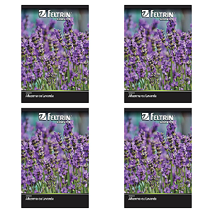 KIT 4 UN FELTRIN SEMENTE ALFAZEMA OU LAVANDA 400MG
