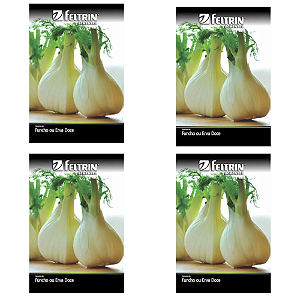 KIT 4 UN FELTRIN SEMENTE ERVA DOCE FUNCHO DE FLORES 400MG
