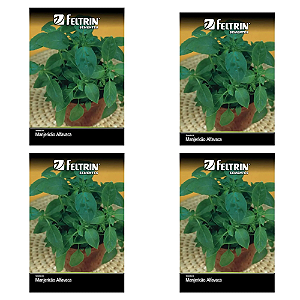 KIT 4 UN FELTRIN SEMENTE MANJERICAO ALFAVACA VERDE 1G