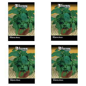 KIT 4 UN FELTRIN SEMENTE MANJERICAO ALFAVACA VERDE 400MG