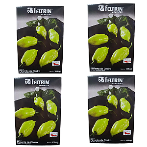 KIT 4 UN SEMENTE FELTRIN PIMENTA SASHA 100MG