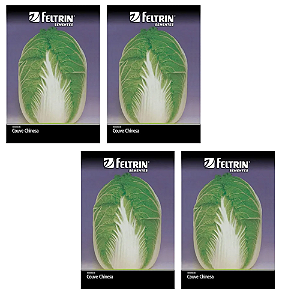 KIT 4 UN SEMENTE FELTRIN COUVE CHINESA MICHUILII 1G