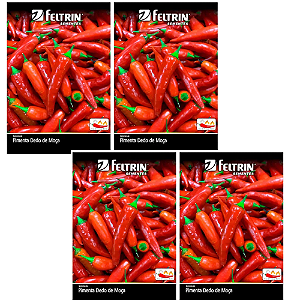 KIT 4 UN FELTRIN SEMENTE PIMENTA DEDO DE MOÇA 400 MG 1PCT