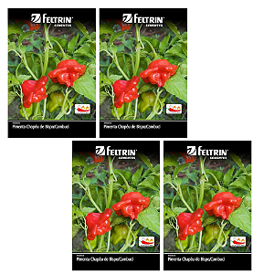 KIT 4 UN FELTRIN SEMENTE PIMENTA CHAPEU DE BISPO CAMBUCI