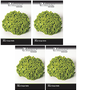 KIT 4 UN FELTRIN SEMENTE ALFACE CINDERELA 2,5G