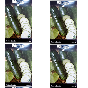 KIT 4 UN SEMENTE FELTRIN PEPINO VERDE COMPRIDO 5G