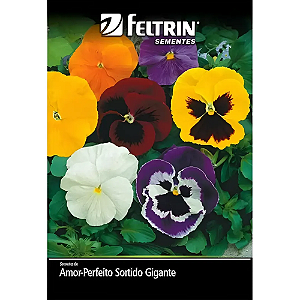 FELTRIN SEMENTE AMOR PERFEITO SORTIDO GIGANTE 1 PCT  70MG