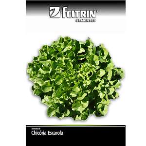 FELTRIN SEMENTE CHICORIA GIGANTE BARBARELA ESCAROLA  700MG