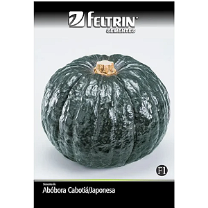 FELTRIN SEMENTE ABOBORA HIROKO-CABOTIA-JAPONESA 1PCT 2G