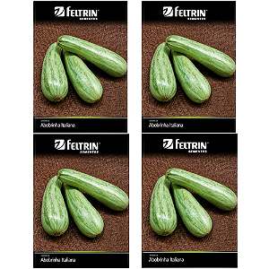 FELTRIN KIT SEMENTE ABOBRINHA CASERTA ITALIANA  8G 4UN