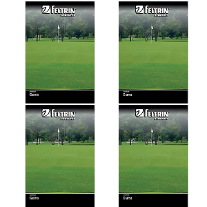 FELTRIN KIT SEMENTE GRAMA BERMUDA  3G 4UN
