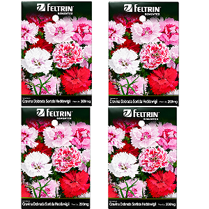 FELTRIN KIT SEMENTE CRAVINA DOBRADA SORTIDA HEDDEW  200MG 4UN