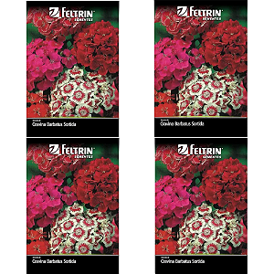FELTRIN KIT SEMENTE CRAVINA BARBATUS SORTIDA 200MG 4UN