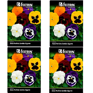 FELTRIN KIT SEMENTE AMOR PERFEITO SORTIDO GIGANTE 200MG 4UN