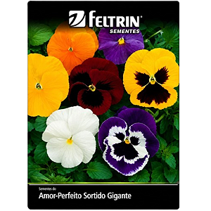 FELTRIN SEMENTE AMOR PERFEITO SORTIDO GIGANTE 200MG 1UN
