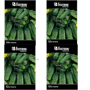 FELTRIN KIT SEMENTE PEPINO WISCONSIN  CONSERVA 1G 4UN