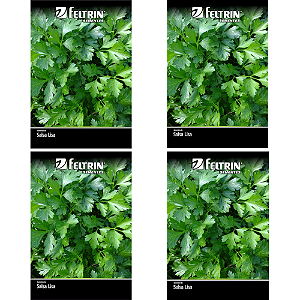 FELTRIN KIT SEMENTE SALSA LISA 900G 4UN