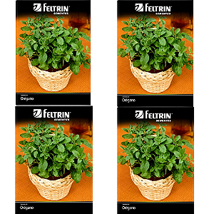 FELTRIN  KIT SEMENTE OREGANO  170MG 4UN