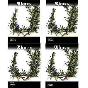 FELTRIN KIT SEMENTE ALECRIM ORVALHO DO MAR  100MG 4UN