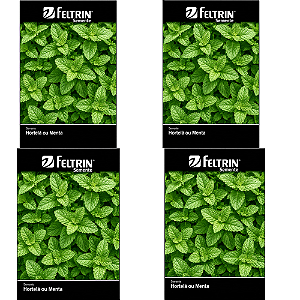 FELTRIN KIT SEMENTE HORTELA OU MENTA PIPERITA 100MG 4UN