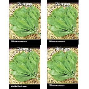 FELTRIN KIT SEMENTE ALMEIRÃO FOLHAS AMARELAS 700MG 4UN