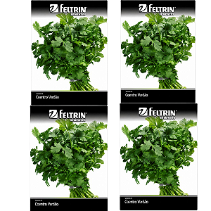 FELTRIN KIT SEMENTE COENTRO VERDAO 1,6G 4UN