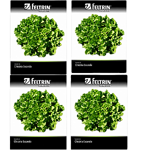FELTRIN KIT SEMENTE CHICORIA GIGANTE BARBARELA 700MG 4UN