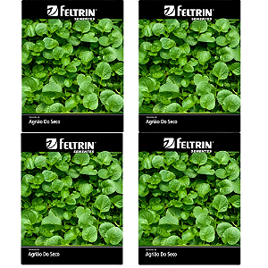 FELTRIN KIT SEMENTE AGRIAO TOPAZIO 1G 4UN