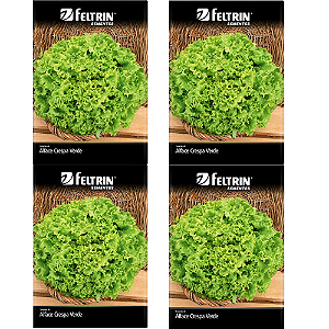 FELTRIN KIT SEMENTE  ALFACE MONICA  700MG 4UN