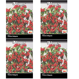 FELTRIN KIT SEMENTE PIMENTA VULCAO - MALAGUETA  400MG 4UN