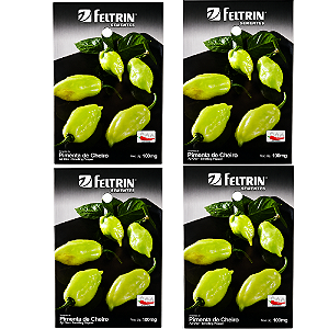 FELTRIN KIT SEMENTE PIMENTA DE CHEIRO 100MG 4UN