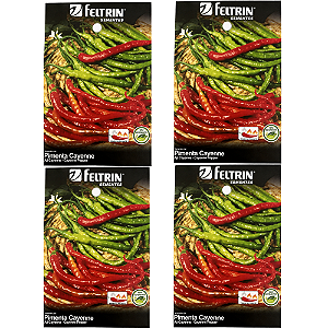FELTRIN KIT SEMENTE PIMENTA CAYENNE LONG SLIM 1G 4UN