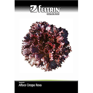 FELTRIN SEMENTE ALFACE CARMELA CRESPA ROXA 2,5G