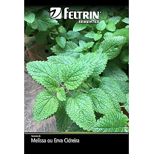 FELTRIN SEMENTE MELISSA ERVA CIDREIRA OU MELIS 350MG