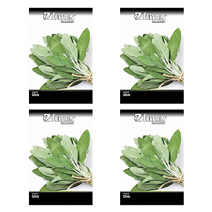 FELTRIN SEMENTE SALVIA PARA TEMPERO 500MG 4UN