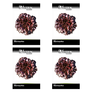 FELTRIN SEMENTE ALFACE CARMELA CRESPA ROXA 2,5G 4UN