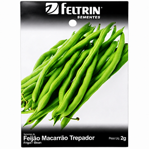 FELTRIN SEMENTE FEIJAO TEMPESTA 2G 1UN