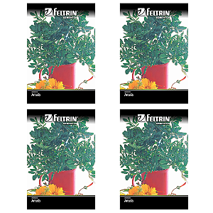 FELTRIN SEMENTE ARRUDA 100MG 4UN