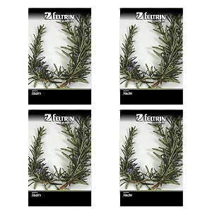 FELTRIN SEMENTE ALECRIM ORVALHO DO MAR 100MG 4UN