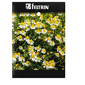 FELTRIN SEMENTE CAMOMILA OU MACANILHA 300MG 1UN