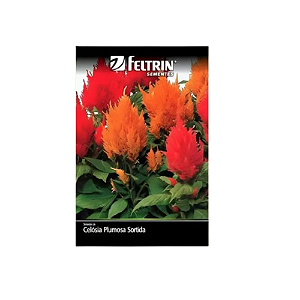 FELTRIN  SEMENTE CELOSIA-PLUMOSA PLUMOSA SORTIDA 100MG 1UN